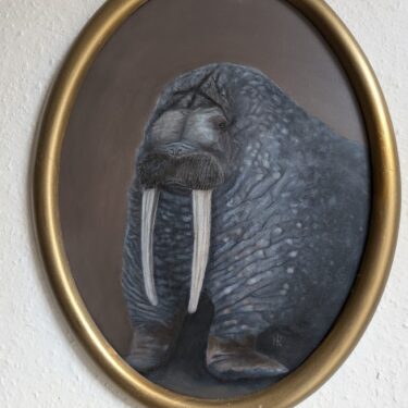 Seelöwe