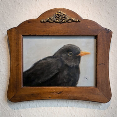 Die Amsel