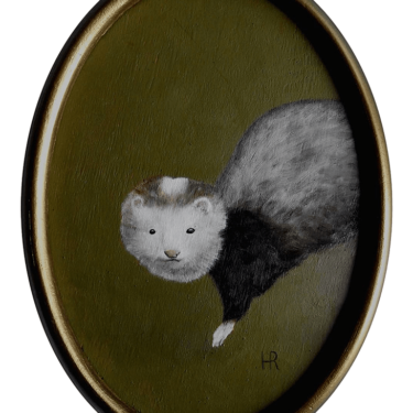 Ferret